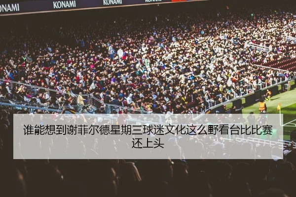 谁能想到谢菲尔德星期三球迷文化这么野看台比比赛还上头
