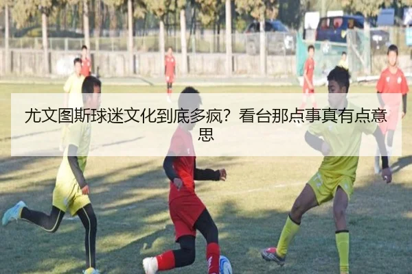 尤文图斯球迷文化到底多疯？看台那点事真有点意思