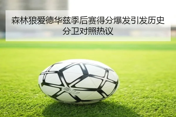 森林狼爱德华兹季后赛得分爆发引发历史分卫对照热议