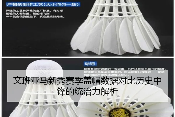 文班亚马新秀赛季盖帽数据对比历史中锋的统治力解析