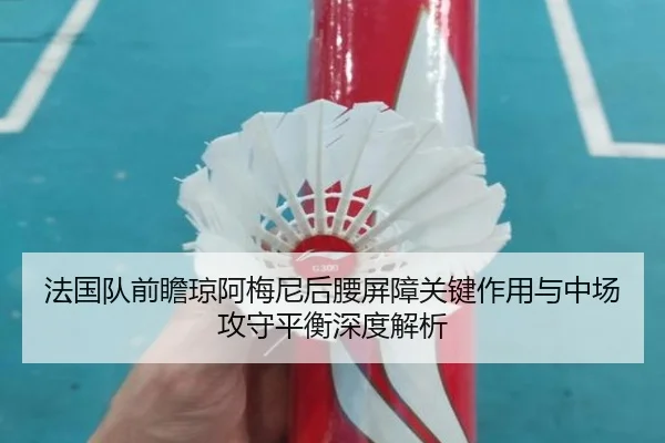 法国队前瞻琼阿梅尼后腰屏障关键作用与中场攻守平衡深度解析